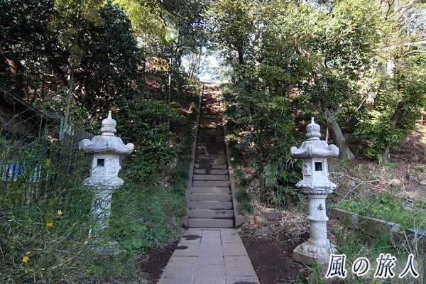 岡本八幡神社　参道の階段と石灯篭の写真