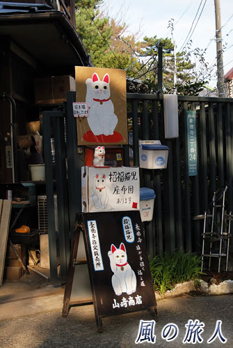 世田谷　豪徳寺　招き猫の立て看板の写真