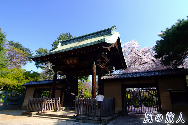世田谷　豪徳寺山門の写真