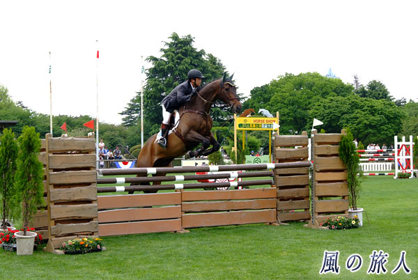 世田谷　馬事公苑　障害を飛躍する馬の写真