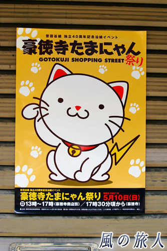 世田谷　豪徳寺商店街　豪徳寺たまにゃん祭りのポスターの写真