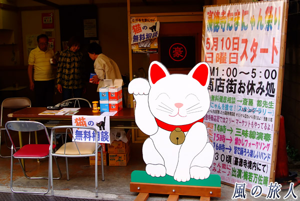 世田谷　豪徳寺商店街　猫の無料健康相談所の写真