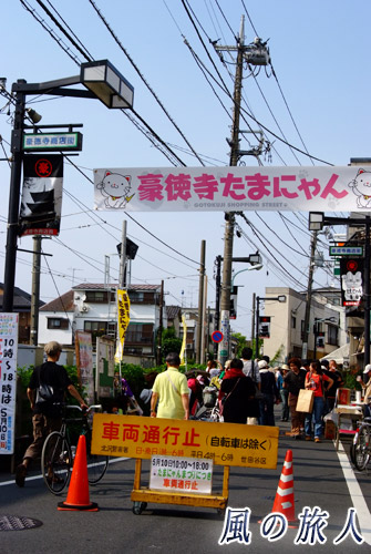 世田谷　豪徳寺商店街　たまにゃん祭り　通りの様子の写真