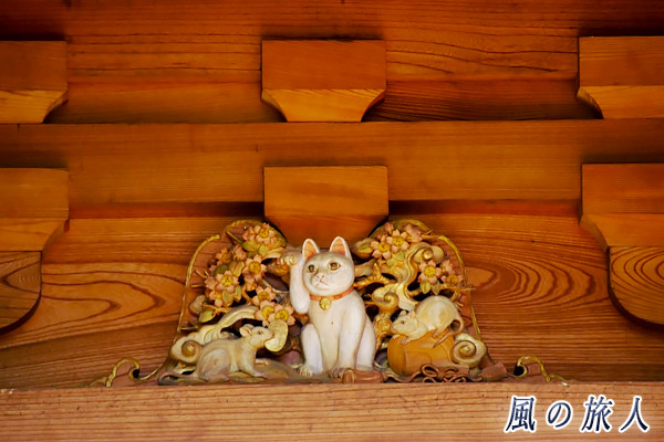 世田谷　豪徳寺　三重塔　ネズミとネコの写真