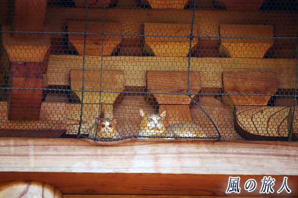 世田谷　豪徳寺　三重塔　猫の像の写真