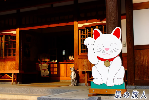 世田谷　豪徳寺　猫が手招きする社務所の写真