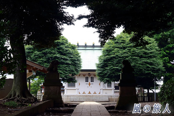 世田谷　新しくなった上祖師谷神明社の社殿の写真