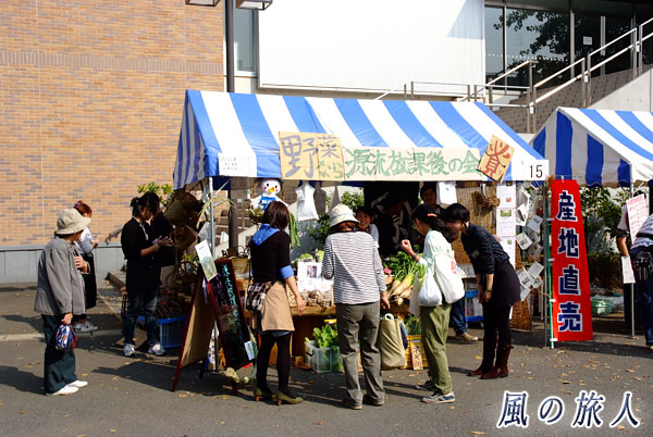 東京農業大学　収穫祭　野菜の販売店の写真