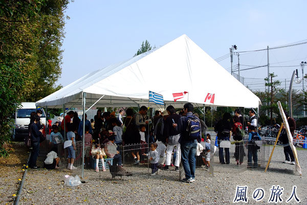東京農業大学　収穫祭　ふれあい動物園の写真