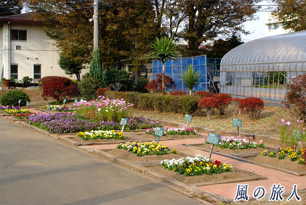 世田谷　都立園芸高校　校内の花壇や温室の写真