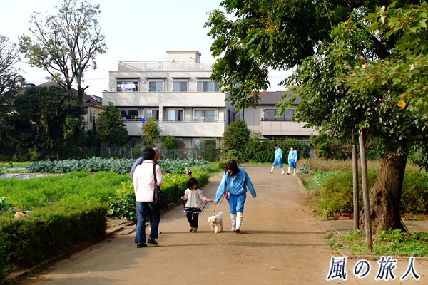 世田谷　都立園芸高校　犬の散歩体験（園芸展）の写真