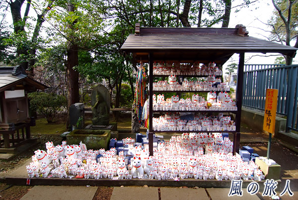 豪徳寺の招き猫（世田谷区）の写真