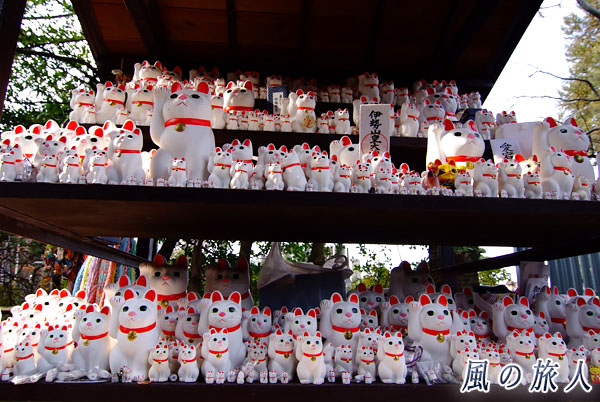 世田谷　豪徳寺　奉納棚に並ぶ招き猫の写真