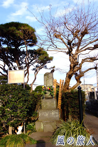 世田谷区　烏山寺町　専光寺　喜多川歌麿の墓と墓を見つめる猫の写真
