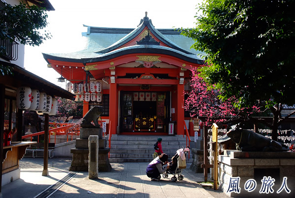 梅の季節の松原菅原神社の写真
