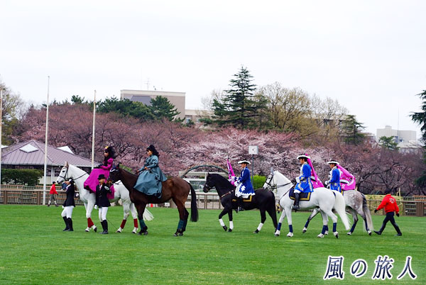 世田谷　馬事公苑　馬のパレード（桜まつり）の写真