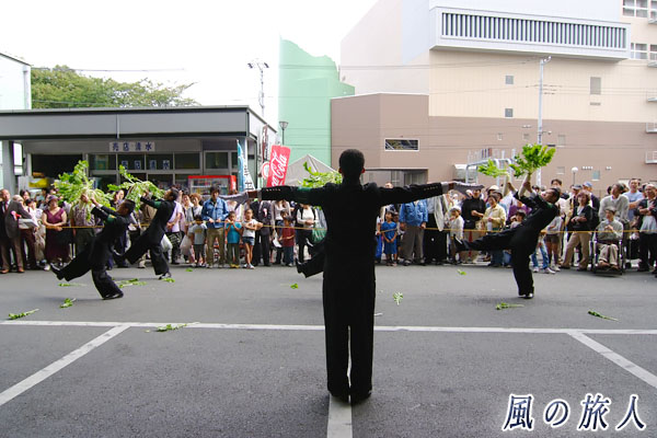 東京農大応援団の大根踊りの写真