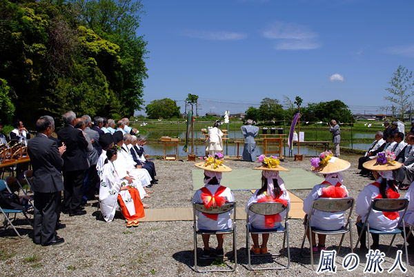 千葉県市川市　島穴神社田植祭の写真