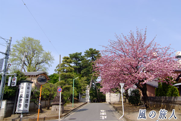 世田谷　豪徳寺の参道入り口の写真