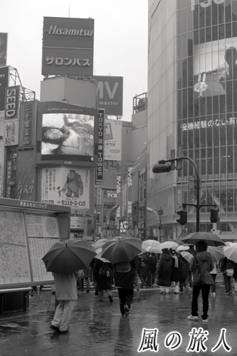 雨の日のスクランブル交差点（2002年）の写真