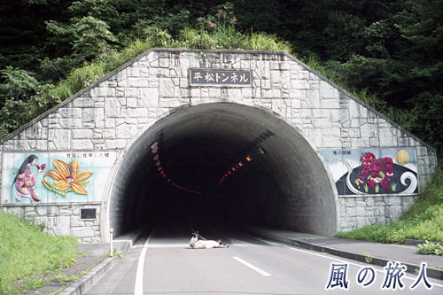 立派な平松トンネル　佐渡島一周ツーリングの写真